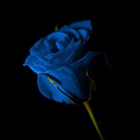 'Arafahhh🦋💎 (@pearlll_a) 's Twitter Profile