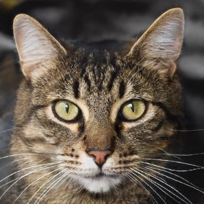 AprilLe21761925's profile picture. 