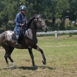 BethCarrol16772's profile picture. 