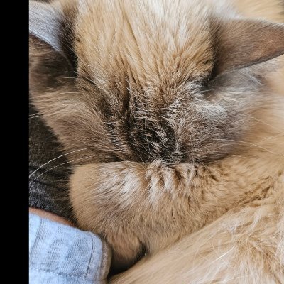 poels_heid914's profile picture. 