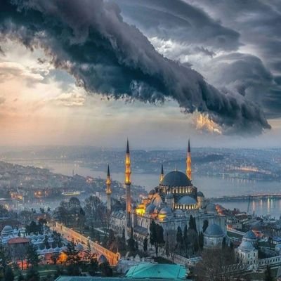 0Fizyoterapist0's profile picture. 