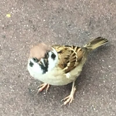 mnHccvb08V26363's profile picture. 