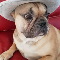Clairmaribol (@mariclairbol) 's Twitter Profile Photo Clairmaribol (@mariclairbol) 's Twitter Profile Photo