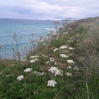 Nadine Morgan πΊππππ
(@bgeco_education) 's Twitter Profile Photo Nadine Morgan πΊππππ
(@bgeco_education) 's Twitter Profile Photo
