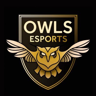 SWFCEsports__'s profile picture. 