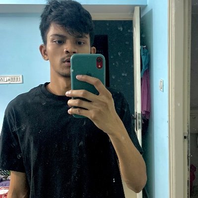 bibhutibaibhaav's profile picture. 🚀