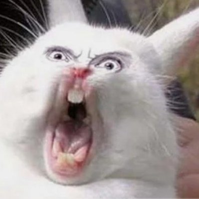 JusticeNeverDi3's profile picture. Your bio