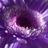 LauzC123's profile image