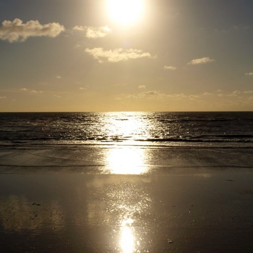 wijoy59's profile picture. Juriste - Gamer