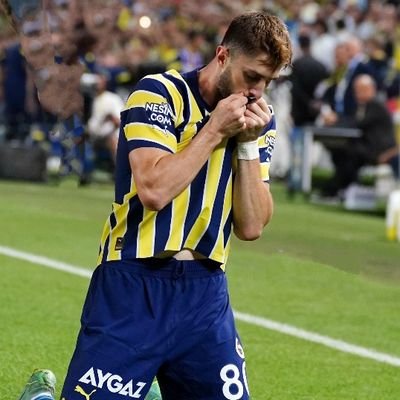 Fenerbahçe sevdalısı