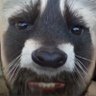 ScallySwagger's profile picture. 