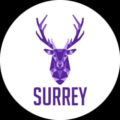 SurreyRllrGirls Profile Picture