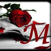 Mohamed Ali (@mohamed52330759) 's Twitter Profile