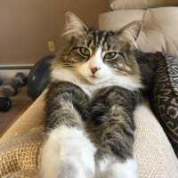 📣 MindWanders (@mindwanders2) 's Twitter Profile Photo