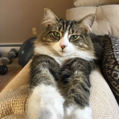 MindWanders2's profile image