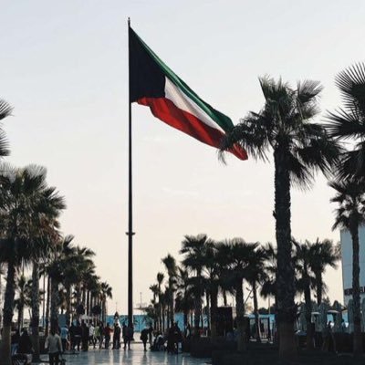 n118q8's profile picture. 