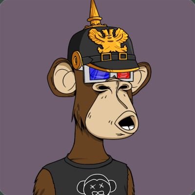 QuestAnita's profile picture. social media