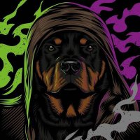 dawg of war(@dawgofwar13) 's Twitter Profile Photo