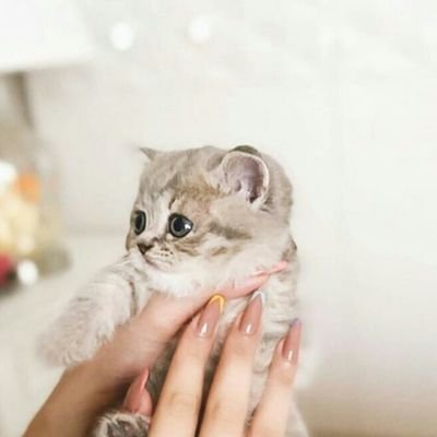 ALsaidi7741's profile picture. و …رضاك أمي، ثم لا شيء يعنيني، فأنت كل شيء في حياتي..♥️