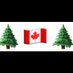 Spruce Freeneedles (@selinagabriel5) Twitter profile photo Spruce Freeneedles (@selinagabriel5) Twitter profile photo