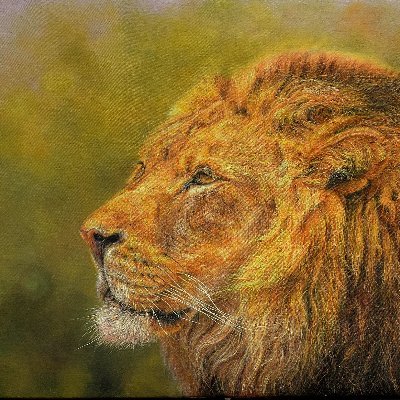 Wildlife fine #artist and #conservationist.
DM for commissions.
Worldwide Shipping.
#art #paintings #fineart #oiloncanvas #wildlifeart