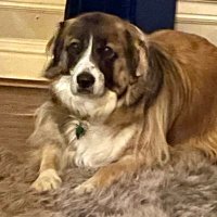 Kevin (@thepergola99) 's Twitter Profile Photo Kevin (@thepergola99) 's Twitter Profile Photo