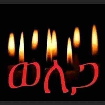 MelatMelu417039's profile picture. Ethiopia 💚💛❤️