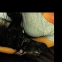 james mcgilvray - @james_mcgilvray - Twitter