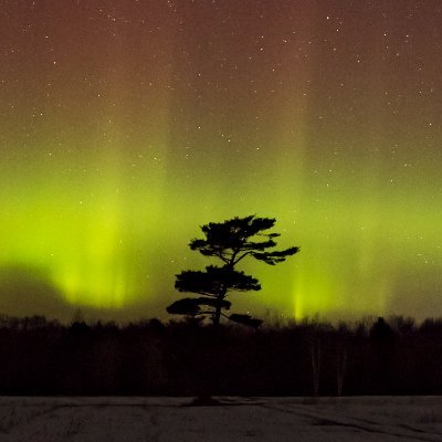 Tracking nights with Aurora Borealis in Ontario. Timelapses in Link 🔗  12+ Nights w/ Lights in 2023. Press: info@redbaylodge.com