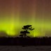 Ontario Northern Lights (Bruce Peninsula) (@OntarioAurora) Twitter profile photo