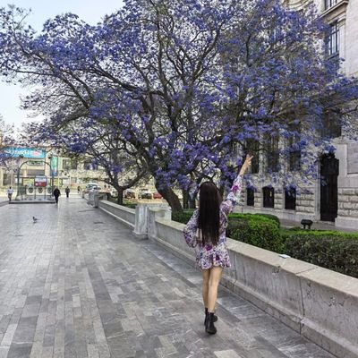 Sammy93382153's profile picture. no estamos en el mismo barco. Estamos en el mismo mar, unos en barco otros en lancha y otros nadando con todas sus fuerzas, seamos empáticos