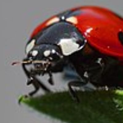 Uckrbgl's profile picture. Ben kimse değilim!