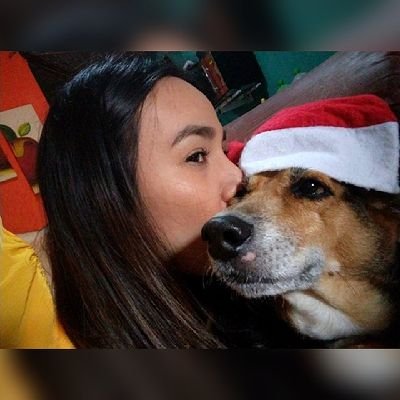 Jenni70153358's profile picture. 🌼🌻🌼