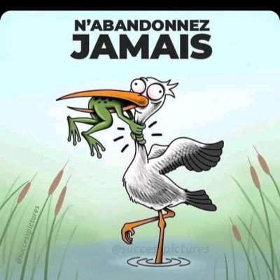 niro069's profile picture. 