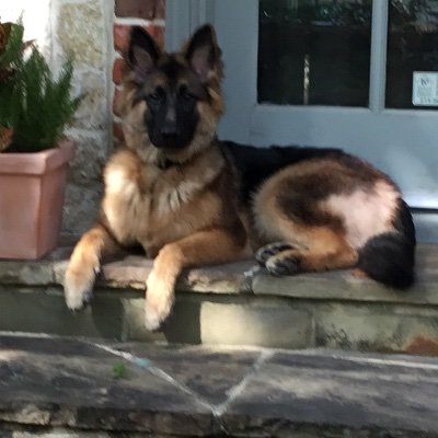 keithdorris5's profile picture. 