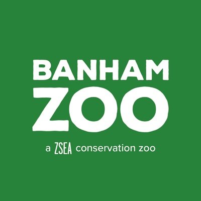 Banham Zoo is a @zocsocEA conservation zoo, based in the heart of East Anglia and home to almost 1000 animals from around the world.