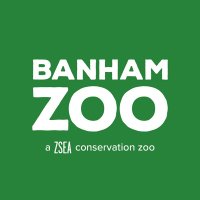 Banham Zoo (@banhamzoo) 's Twitter Profile