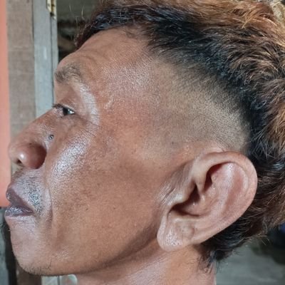 hanyprayogo5's profile picture. 