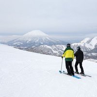 まっつスキー垢 (@mattu_ski) 's Twitter Profile