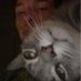 jdw (@jdwbtw) Twitter profile photo jdw (@jdwbtw) Twitter profile photo