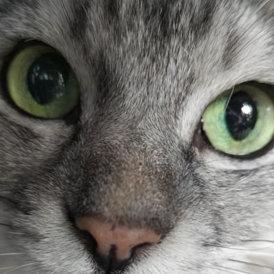 まめごろう Profile