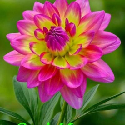 AnoopAn66187329's profile picture. Anoop