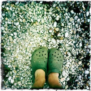 Katztim's profile picture. 