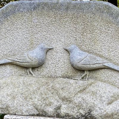 Myachikucha's profile picture. 🤍🖤🦅💬🦭💕 ♡ RPリスイン失礼します。 誤字脱字変換ミス！・右か左かと聞かれれば右です→🧱して自衛してね・ 綺麗なアカウントはコチラFF14→X @Ayagiri_mia ┊ とうらぶ垢→@Zatozatoayasan 📍 自分用ﾀｸﾞﾒﾓ #ポッケの進捗┊