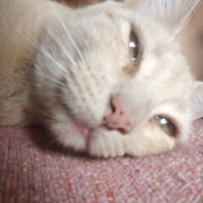 lugar_perfecto3's profile picture. Cuidado con lo que deseas.                               
xoxo.