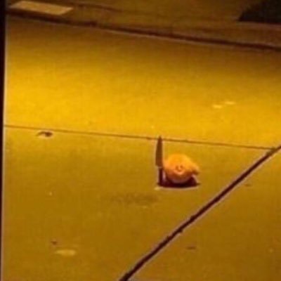 BsmlsSpamacc's profile picture. LABSCI LEGIONS HOO HAA