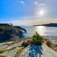 Paul 伯言 (@paulpaulpaul989) 's Twitter Profile Photo