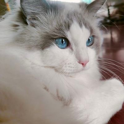 Dont found meさんのプロフィール画像