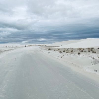 Karen8292729828's profile picture. 