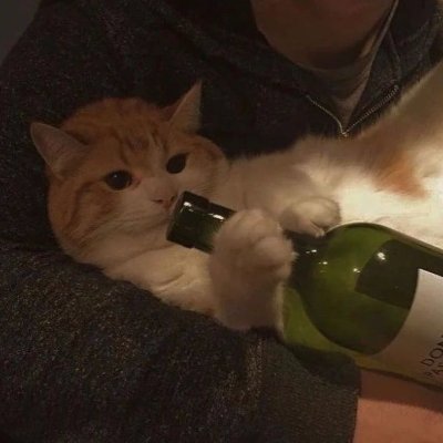 NintendoStupid's profile picture. 18 | i just use this acc to browse and like art and maybe leave a comment if i rlly like it...